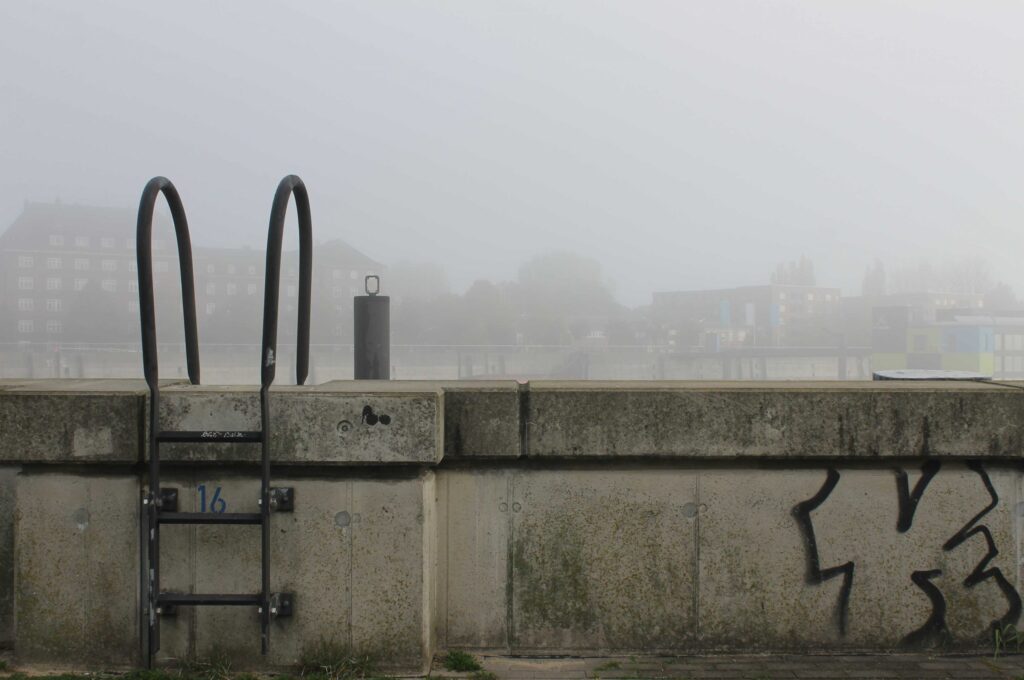 Veddel