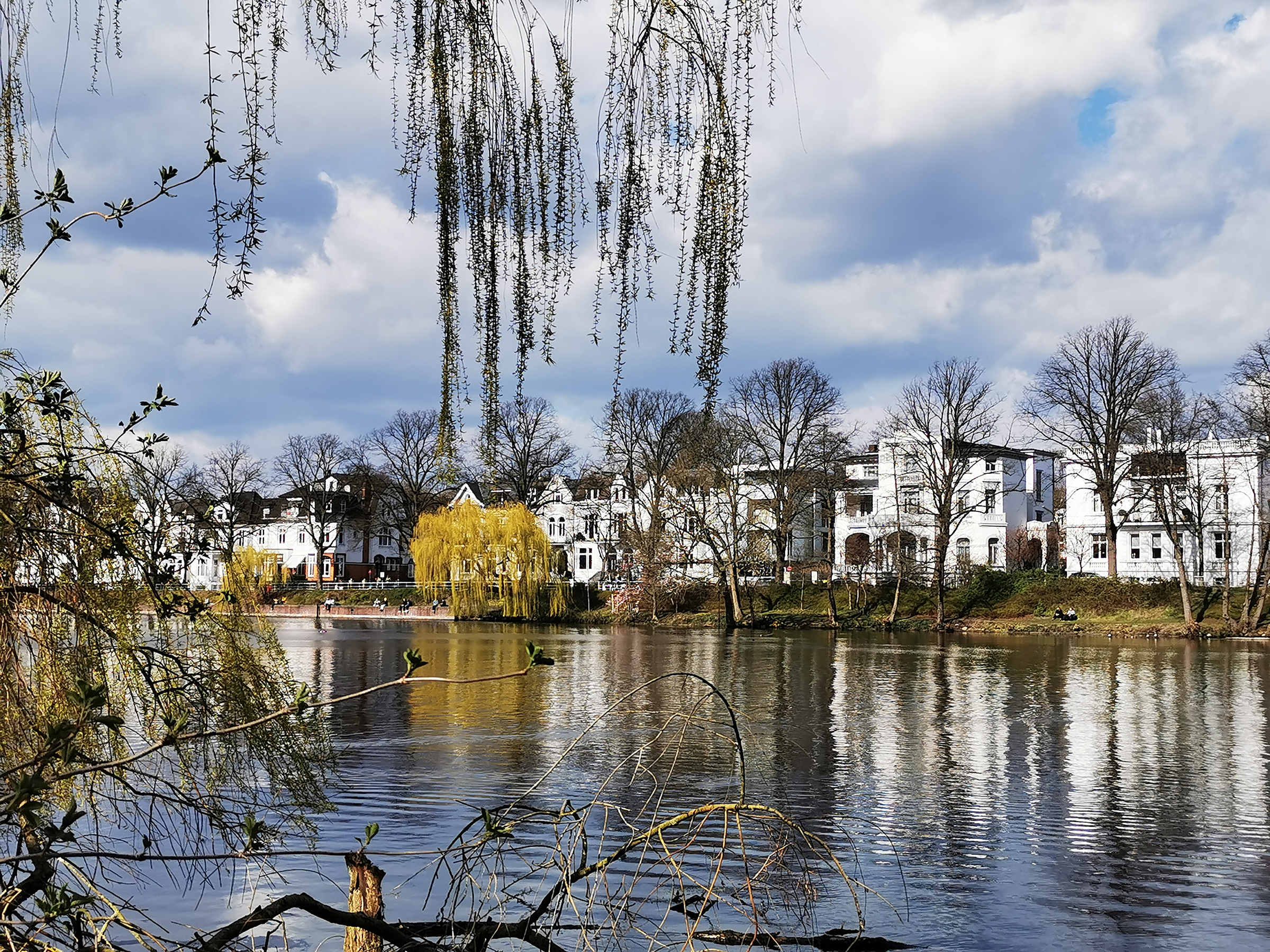 Blick auf Villen am Alsterufer vom Eichenpark