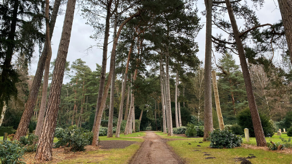 Allee im Ohlsdorfer Friedhof