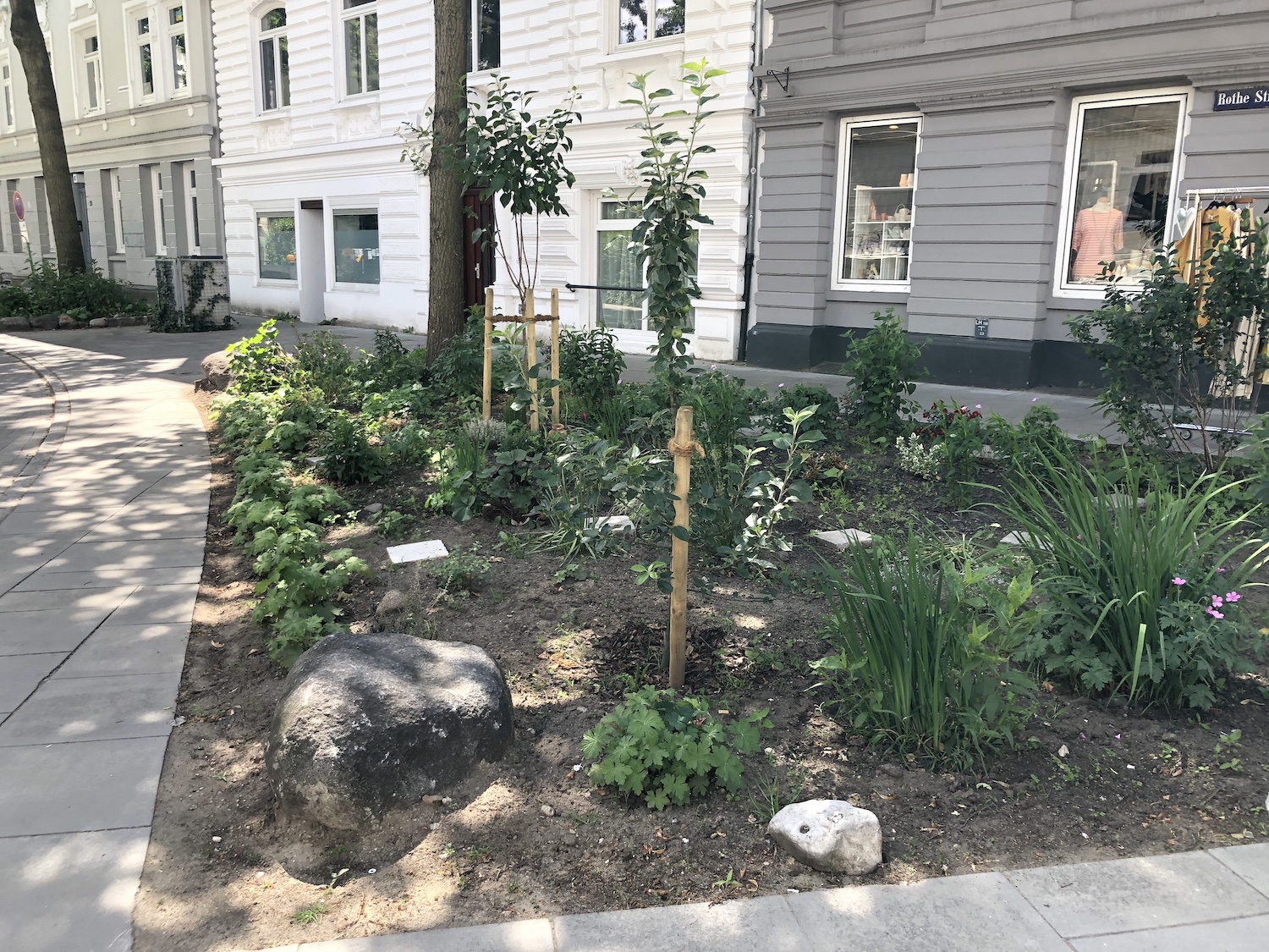 Urban Gardening in Hamburg: Grünpatenschaft in Ottensen