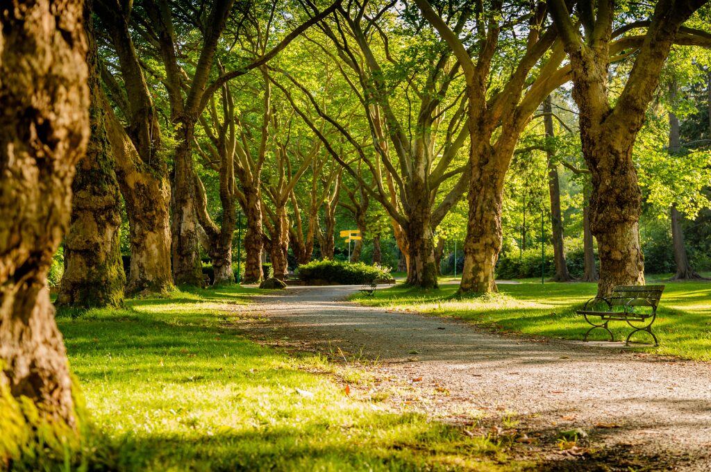 Parks in Hamburg, Bild vom Park