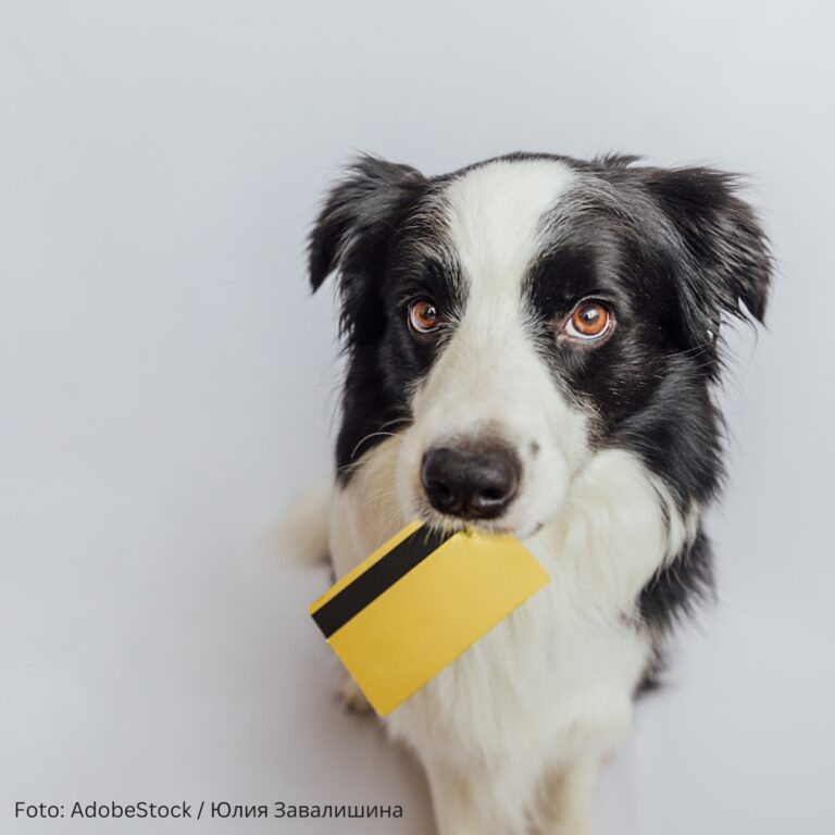 Finanzen: Hund mit Kreditkarte