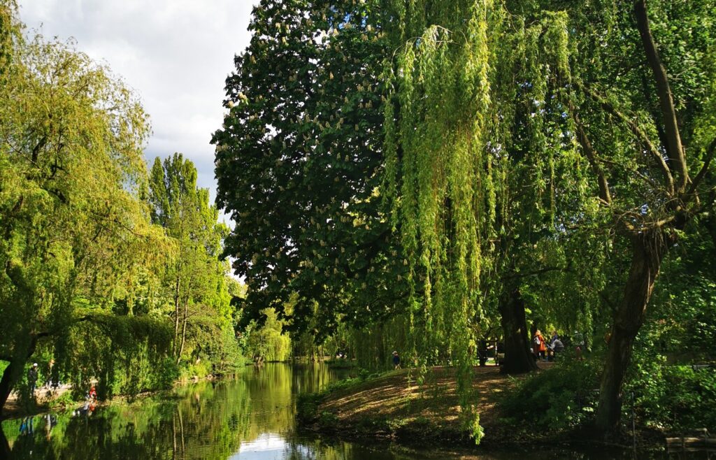 Park am Weiher Hamburg Eimsbuettel