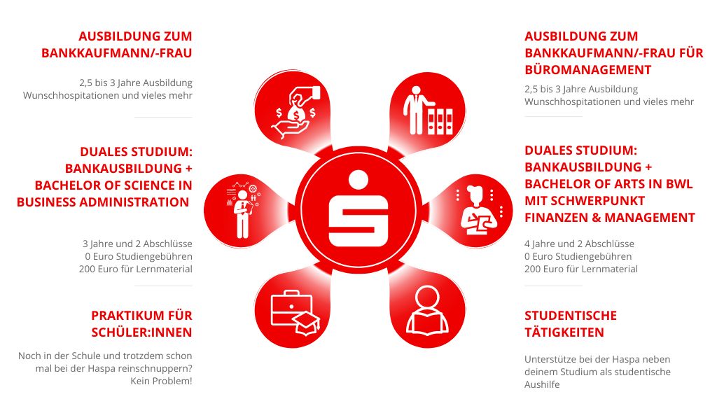 Ausbildung bei der Haspa: Grafik der Ausbildungsberufe und dualen Studiengänge