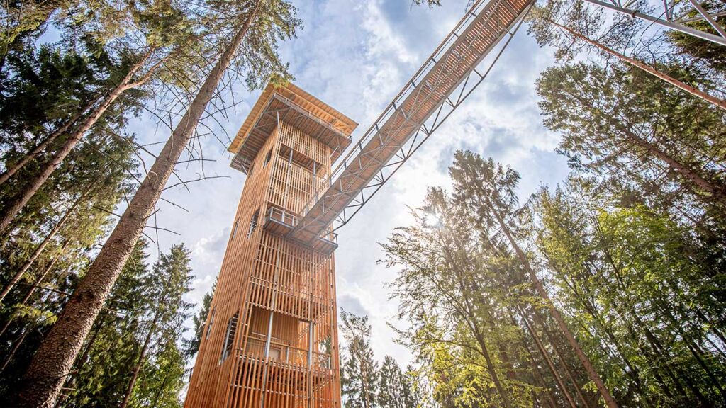 HaspaJoker Vorteile im Oktober: Heide Himmel