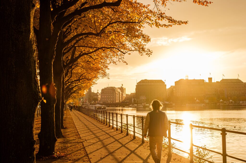 Herbst in Hamburg, Mann an der Binnenalster im Herbst