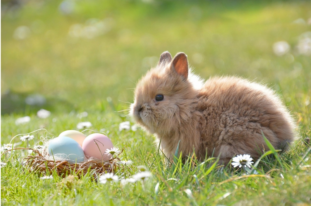 Osterhase mit Korb mit Eiern: Hamburg im März / Hamburg im April