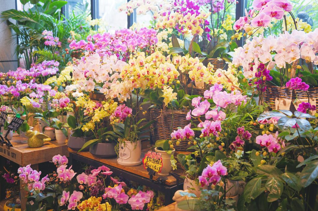 Blumenläden in Hamburg, Geschäft von innen