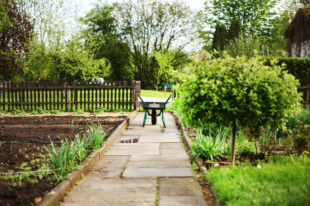 Schrebergarten in Hamburg: Garten mit Steinweg und Schubkarre