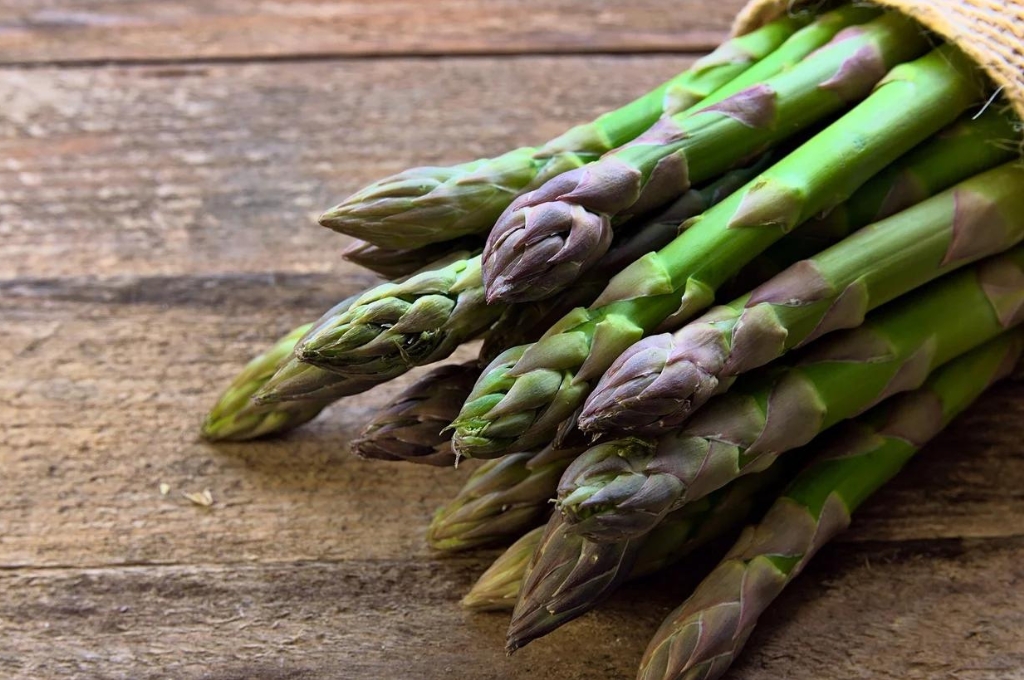 Spargelhof bei Hamburg: grüner Spargel