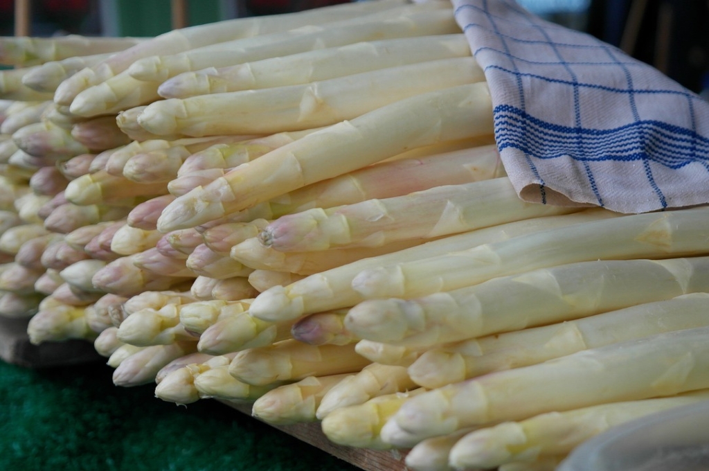 Spargelhof bei Hamburg: Weißer Spargel