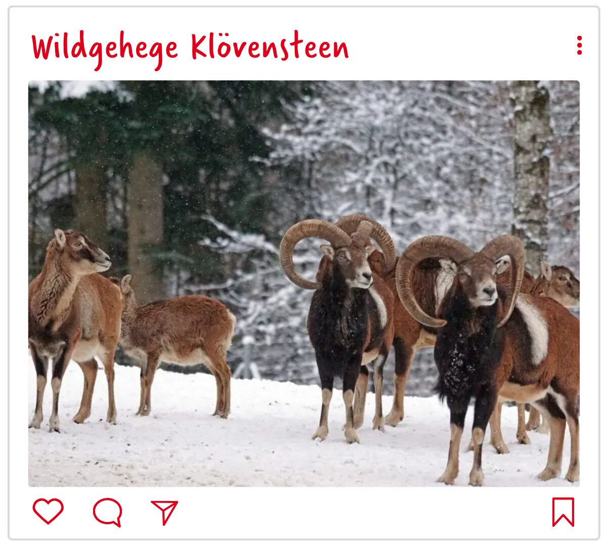 Hamburg mit Kind: Das Wildgehege Klövensteen