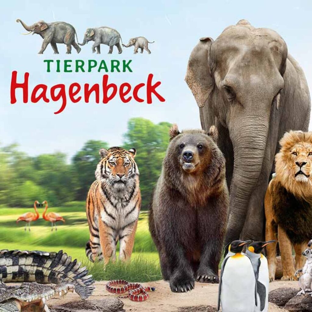 HaspaJoker Tierpark, mehrere Tiere auf einer Grünfläche