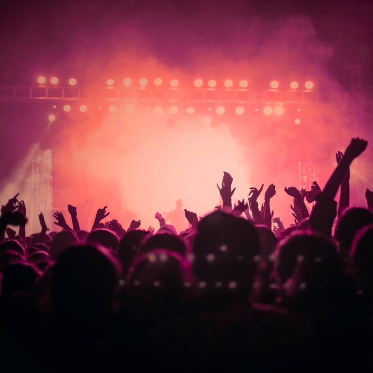 HaspaJoker Kategoriebild Musical, Konzerte, Konzertbühne mit Fans