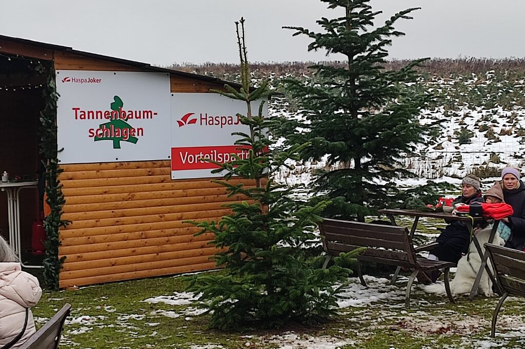 HaspaJoker Tannenbaumschlagen: Tannenbäume auf dem Gelände des Wildparks