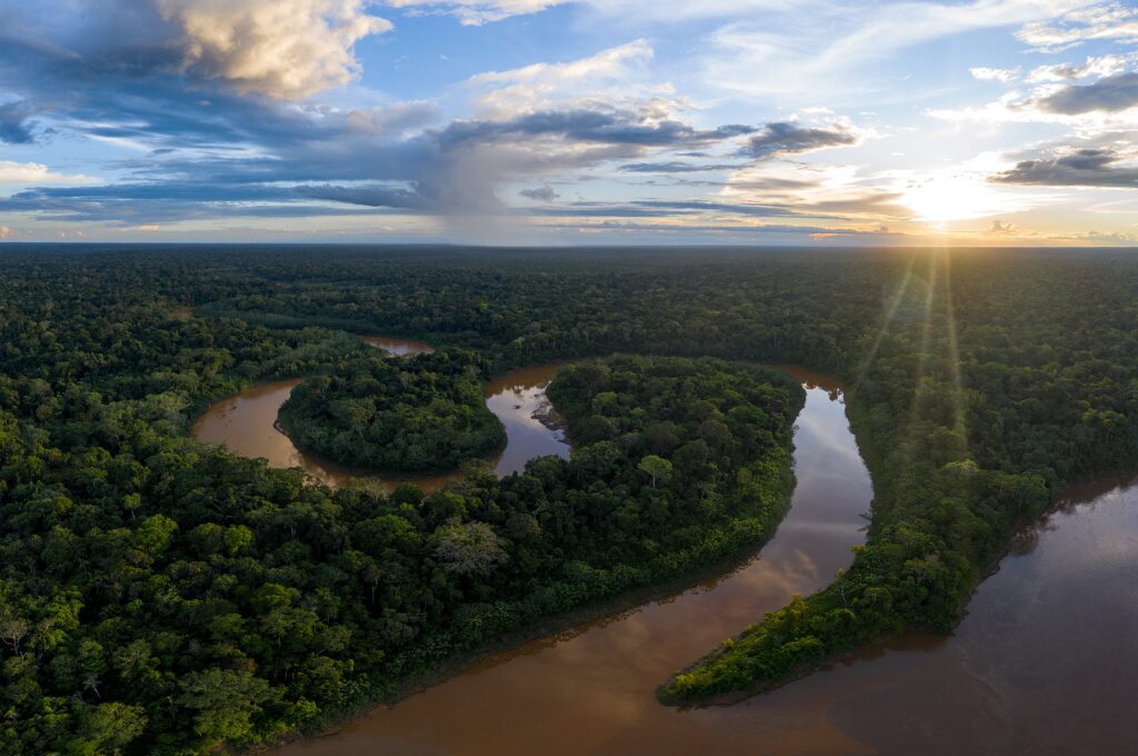 Peru Forest Landscape Drone